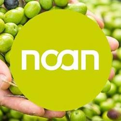 NOAN GmbH