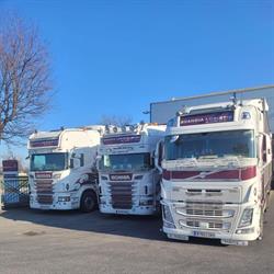 SCANDIA Logistic GmbH