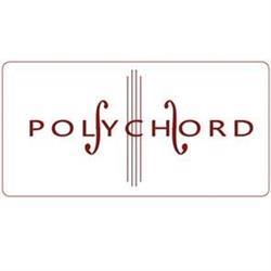 POLYCHORD GMBH
