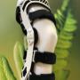 Orthovida in Walding - Orthese Orthovida in Walding - Orthese