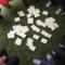 Teambuilding-Outdoor