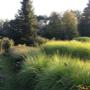 Paradiesgärten MATTUSCHKA – Die Gartenmacher Paradiesgärten MATTUSCHKA – Die Gartenmacher