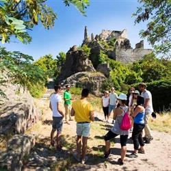 Vienna Explorer Tours and Day Trips e.U.