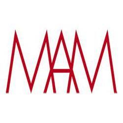 MAM Mario Mauroner Contemporary Art VIENNA Gesellschaft m.b.H.