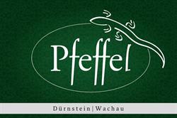 Gartenhotel Pfeffel GmbH