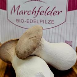 Marchfelder Bio-Edelpilze GmbH