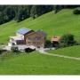 Panoramahütten Sonderdach in 6870 Bezau