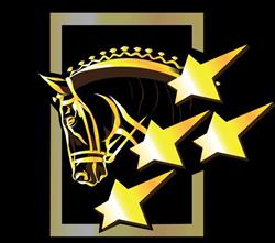 High Class Horse Center - Weikersdorf e.U.