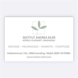 Institut Andrea Eiler