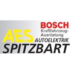 Autoelektrik Spitzbart