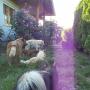 Von einem Besucher am 14.03.2017 hochgeladen Von einem Besucher am 14.03.2017 hochgeladen