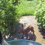 Von einem Besucher am 14.03.2017 hochgeladen Von einem Besucher am 14.03.2017 hochgeladen
