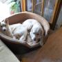Von einem Besucher am 14.03.2017 hochgeladen Von einem Besucher am 14.03.2017 hochgeladen