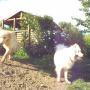 Von einem Besucher am 14.03.2017 hochgeladen Von einem Besucher am 14.03.2017 hochgeladen