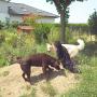 Von einem Besucher am 14.03.2017 hochgeladen Von einem Besucher am 14.03.2017 hochgeladen