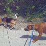 Von einem Besucher am 14.03.2017 hochgeladen Von einem Besucher am 14.03.2017 hochgeladen