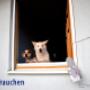 Von einem Besucher am 14.03.2017 hochgeladen Von einem Besucher am 14.03.2017 hochgeladen