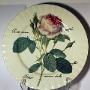 Redoute Roses