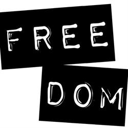 Freedom Skateshop