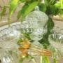 Glasschalen & Schale mit Deckel Glasschalen & Schale mit Deckel