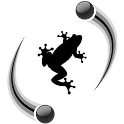 Quantenfrosch Webservices