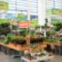OBI Gartencenter Dornbirn OBI Gartencenter Dornbirn