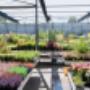 OBI Gartencenter Salzburg-Maxglan OBI Gartencenter Salzburg-Maxglan