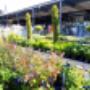 OBI Gartencenter Villach OBI Gartencenter Villach