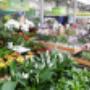 OBI Gartencenter Villach OBI Gartencenter Villach