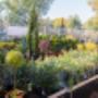 OBI Gartencenter Wien 22 Bezirk OBI Gartencenter Wien 22 Bezirk