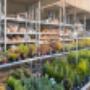 OBI Gartencenter Wien 22 Bezirk OBI Gartencenter Wien 22 Bezirk