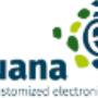 eguana - customized electronic systems