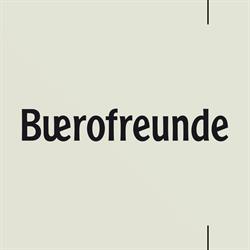 Buerofreunde GmbH
