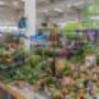 OBI Gartencenter Wiener Neustadt OBI Gartencenter Wiener Neustadt
