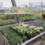 OBI Gartencenter Wiener Neustadt OBI Gartencenter Wiener Neustadt