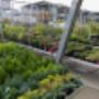 OBI Gartencenter Wiener Neustadt OBI Gartencenter Wiener Neustadt