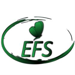 EFS - Economic Facility Services e.U.