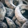 Altmetall- & Abfallrecycling STÖRCHLE Gesellschaft m.b.H. 3441 Judenau-Baumgarten Altmetall- & Abfallrecycling STÖRCHLE Gesellschaft m.b.H. 3441 Judenau-Baumgarten