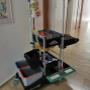 NFT Gebäudeservice GmbH 5071 NFT Gebäudeservice GmbH 5071