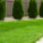 NFT Gebäudeservice GmbH NFT Gebäudeservice GmbH
