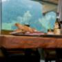 https://www.kroell-winkel.at/mountain-chalet/ https://www.kroell-winkel.at/mountain-chalet/