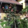 Urlaub am Bauernhof Unger O.G.