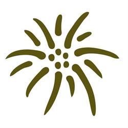 EWC EDELWEISS CONSULTING GmbH