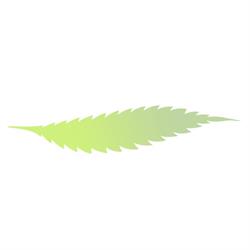 Bushplanet Distribution GmbH