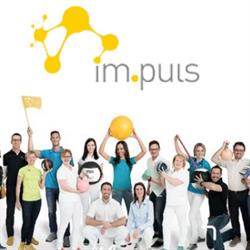 im.puls institut