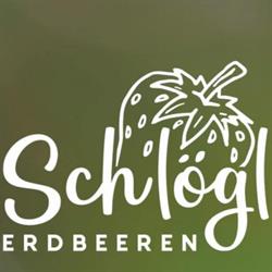 SCHLÖGL KG