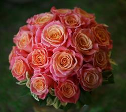 Lavendel & Rosen Mag. art. Margot Josefa Pernerstorfer