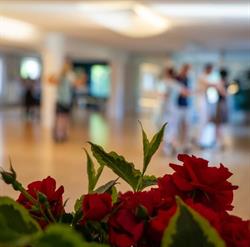 Tanzschule Let's Dance Leibnitz