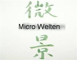 Micro Welten e.U.