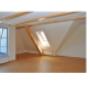 Dienbauer Bau & Installations GmbH